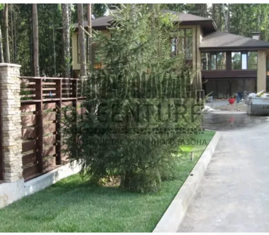 Озеленение коттеджного поселка “La Promenade” - фото - 13